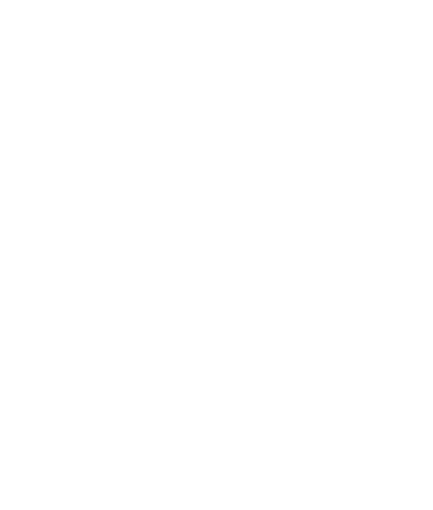 travellers choice - trip advisor