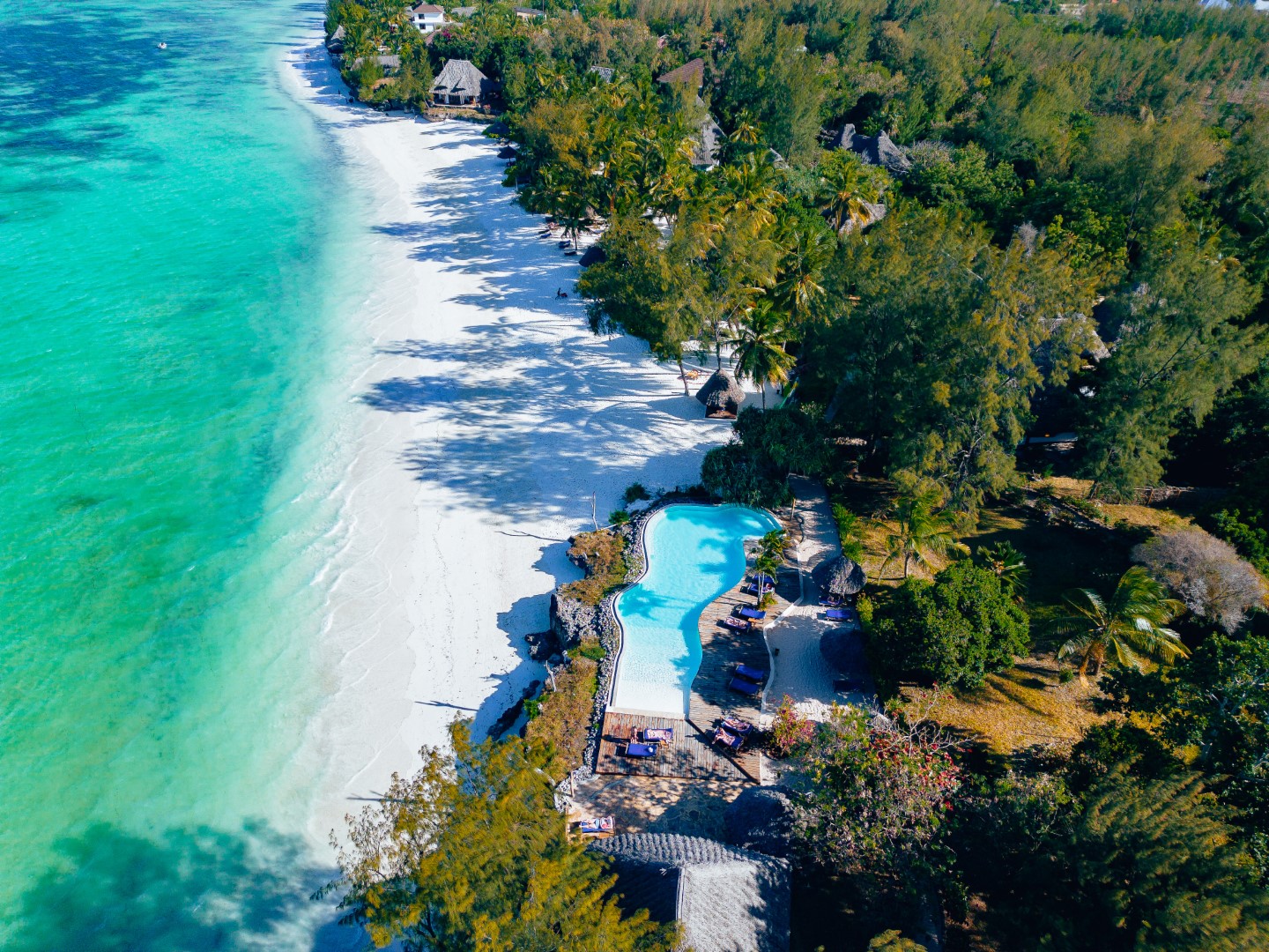 Home of Pongwe Beach Hotel - Pongwe Beach Hotel