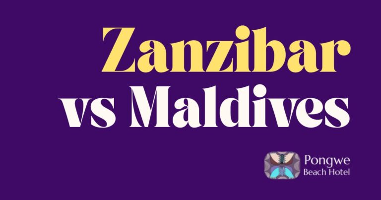 zanzibar vs maldives